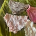 Bundle of Panties New Comfy