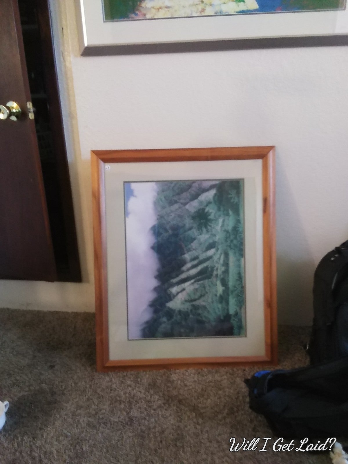 Gary Reed print Homolayla