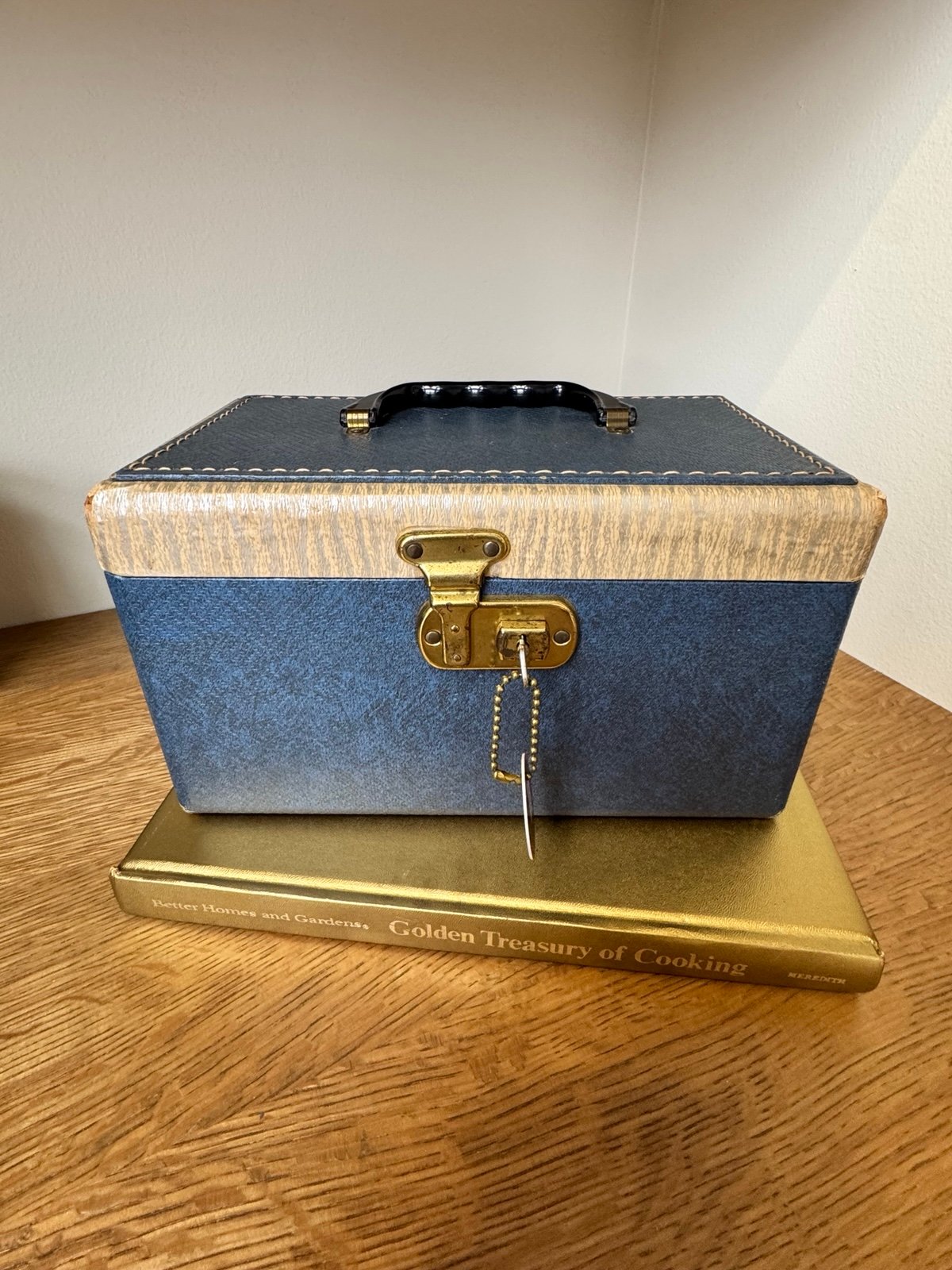 Vintage Mercury American Airlines Train Case - Rare!