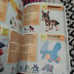 Pokemon Super Deluxe Essential handbook with Evolution Manual