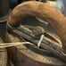 Antique HTF Set of Sad Irons w/ Detachable Wooden Handle, Heavy!