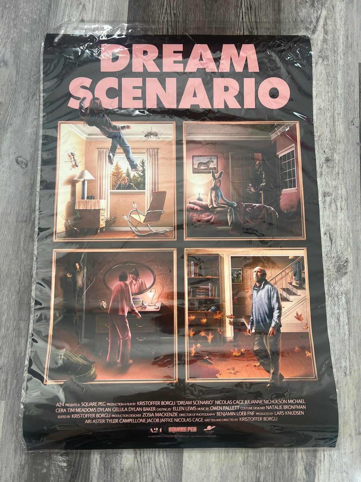 A24 dream scenario poster