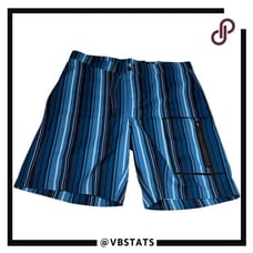 Mack Weldon Men's Striped Swim Board Shorts Blue Size 33x34