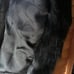Coach rabbit fur vest