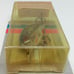 VINTAGE Rebel Super Teeny Wee-R Naturalized Baby Bass 1 3/8 Square Bill LureNOS