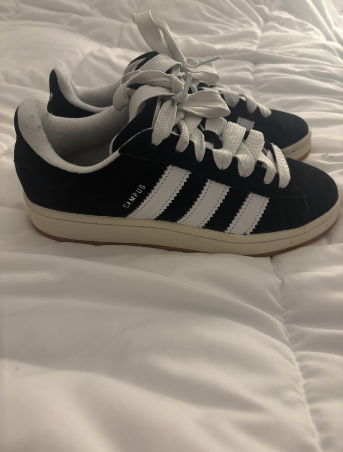 Adidas campus