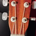 Soprano Ukulele HL-21M