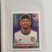 Christian Pulisic USA Soccer Optic Green Velocity Prizm