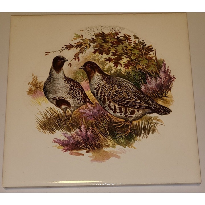 6 Hyalyn 505 Square Quail Male & Female Trivet Cork Backed - Ultra Rare!
