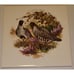 6 Hyalyn 505 Square Quail Male & Female Trivet Cork Backed - Ultra Rare!
