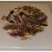 6 Hyalyn 505 Square Quail Male & Female Trivet Cork Backed - Ultra Rare!