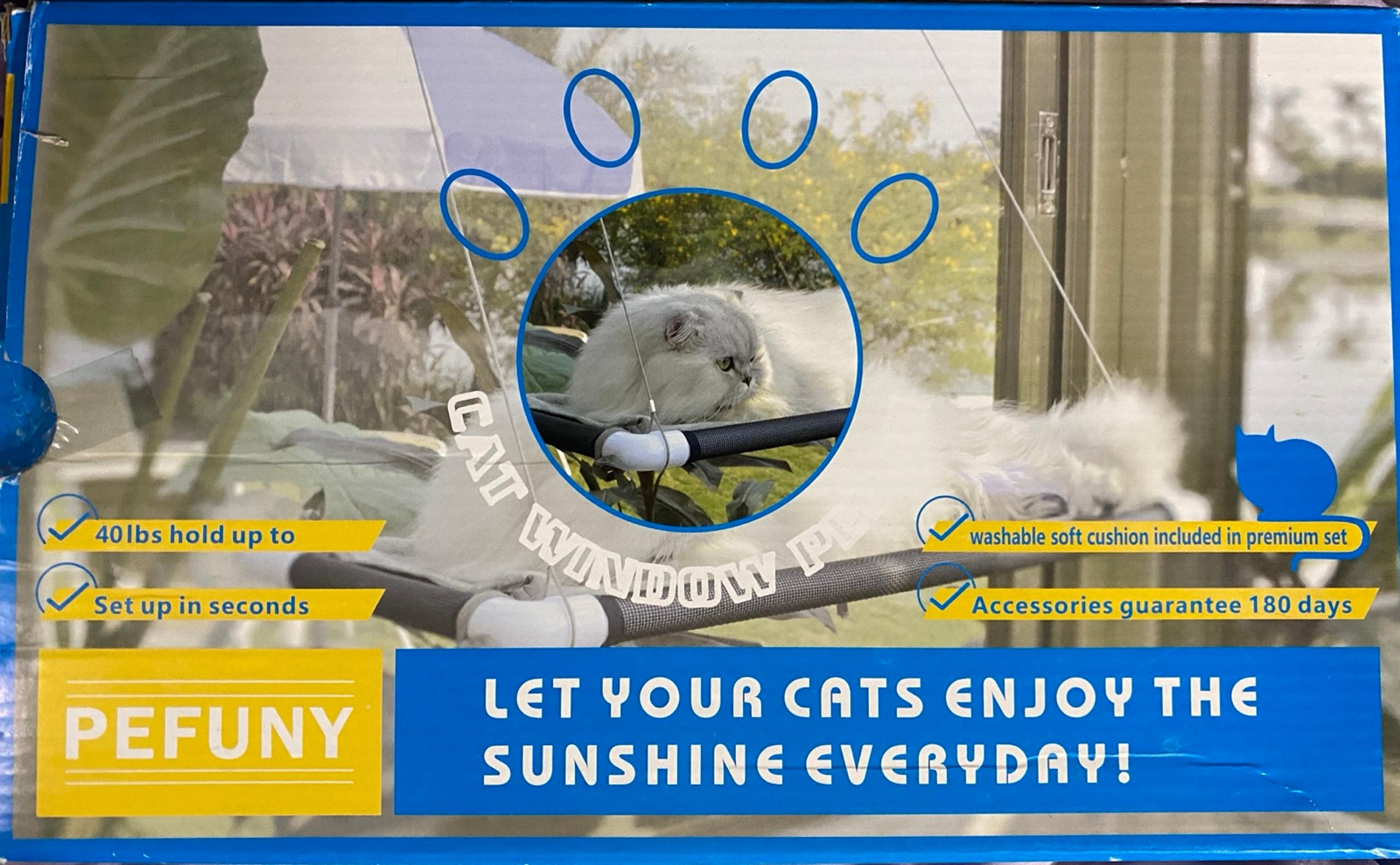 Cat window Swing!