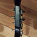 Power Gig Rise of The SixString Guitar