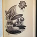 On the Origin of Species by Charles Darwin Hardcover 1963