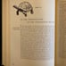 On the Origin of Species by Charles Darwin Hardcover 1963
