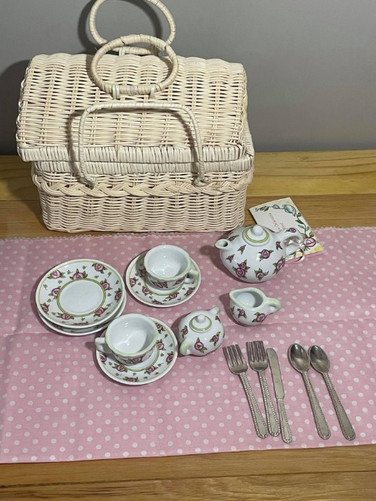 Delton Basket with Tea Set