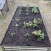 8x4x1FT Raised Garden Bed, Large Metal Planter Box