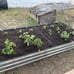 8x4x1FT Raised Garden Bed, Large Metal Planter Box