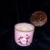 Bath and body works- 2 -3 wick candles