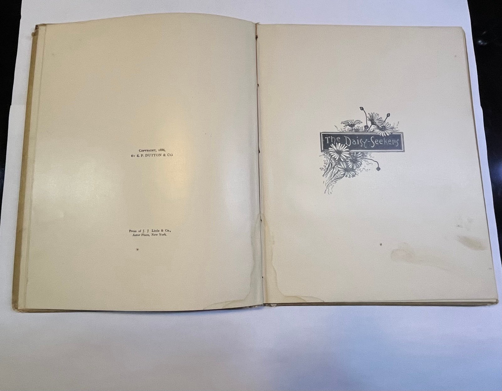 1886 Daisy Seekers Book by Julia Louisa Matilda Woodruff Antiquarian Rare Books