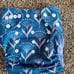 Pocket cloth diapers (12)