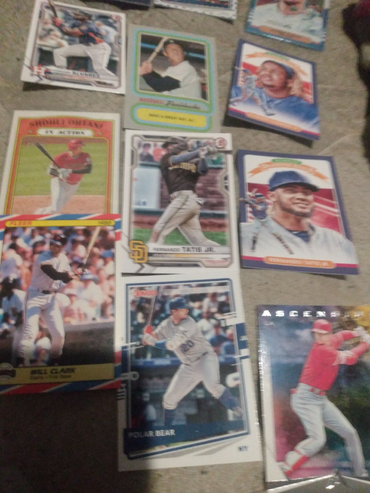 Card Lot