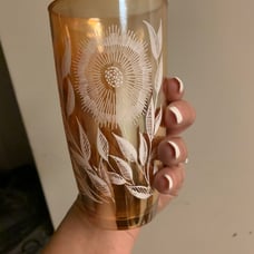 16 Beautifully Etched Drinking Glasses
