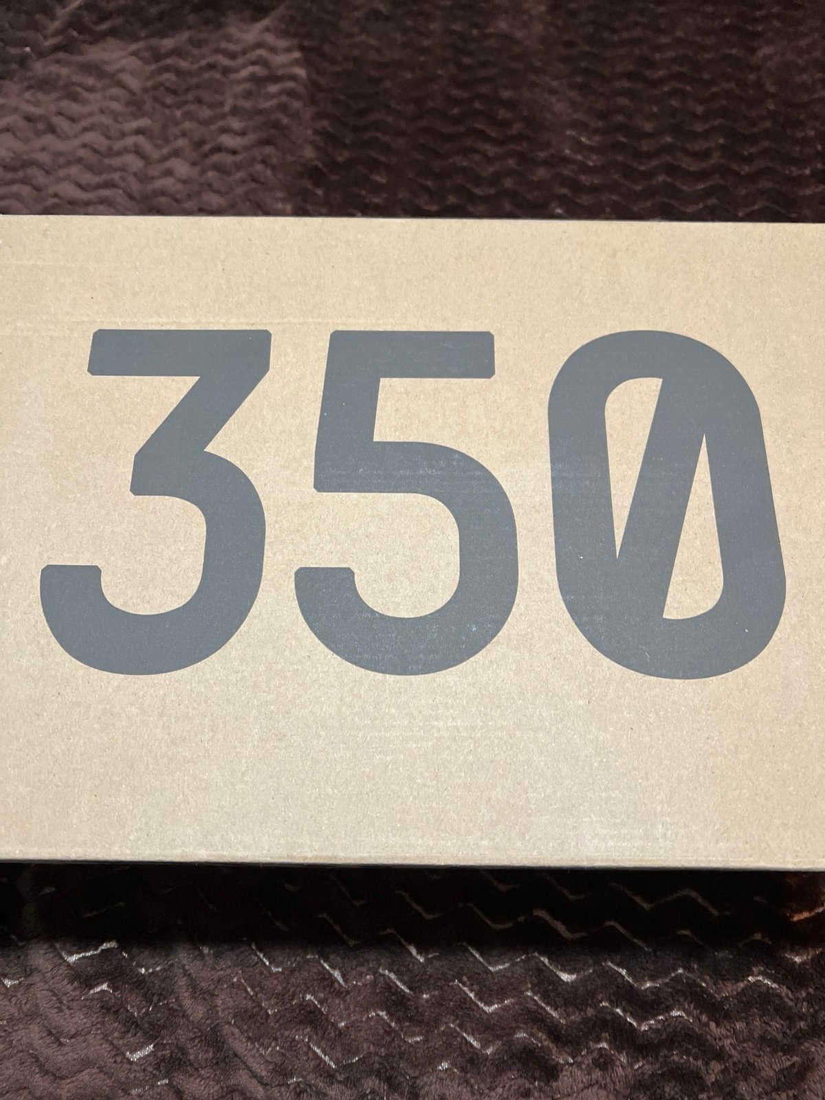 Yeezy 350 blue tint