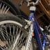 bike next voltage