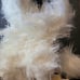 Dog Mannequin