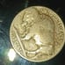 1917s buffalo nickle