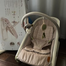 Tiny Love Boho Chic 2-In-1 Rocker, Bouncer