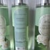 Bath & Body Works Fresh Gardenia (Honeysuckle, Musk) Fine Fragrance Mist x3