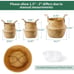 seagrass plant basket set of 2 medium /large