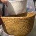 seagrass plant basket set of 2 medium /large