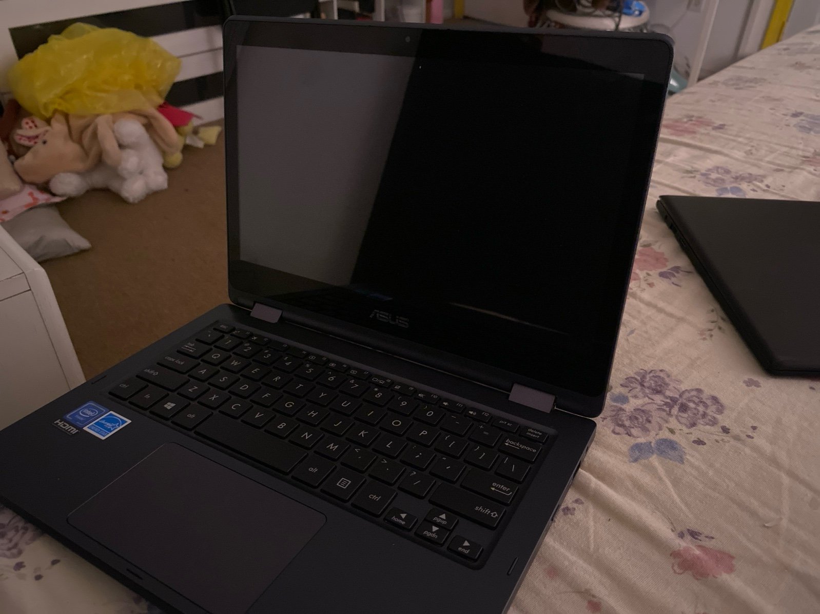 asus laptop