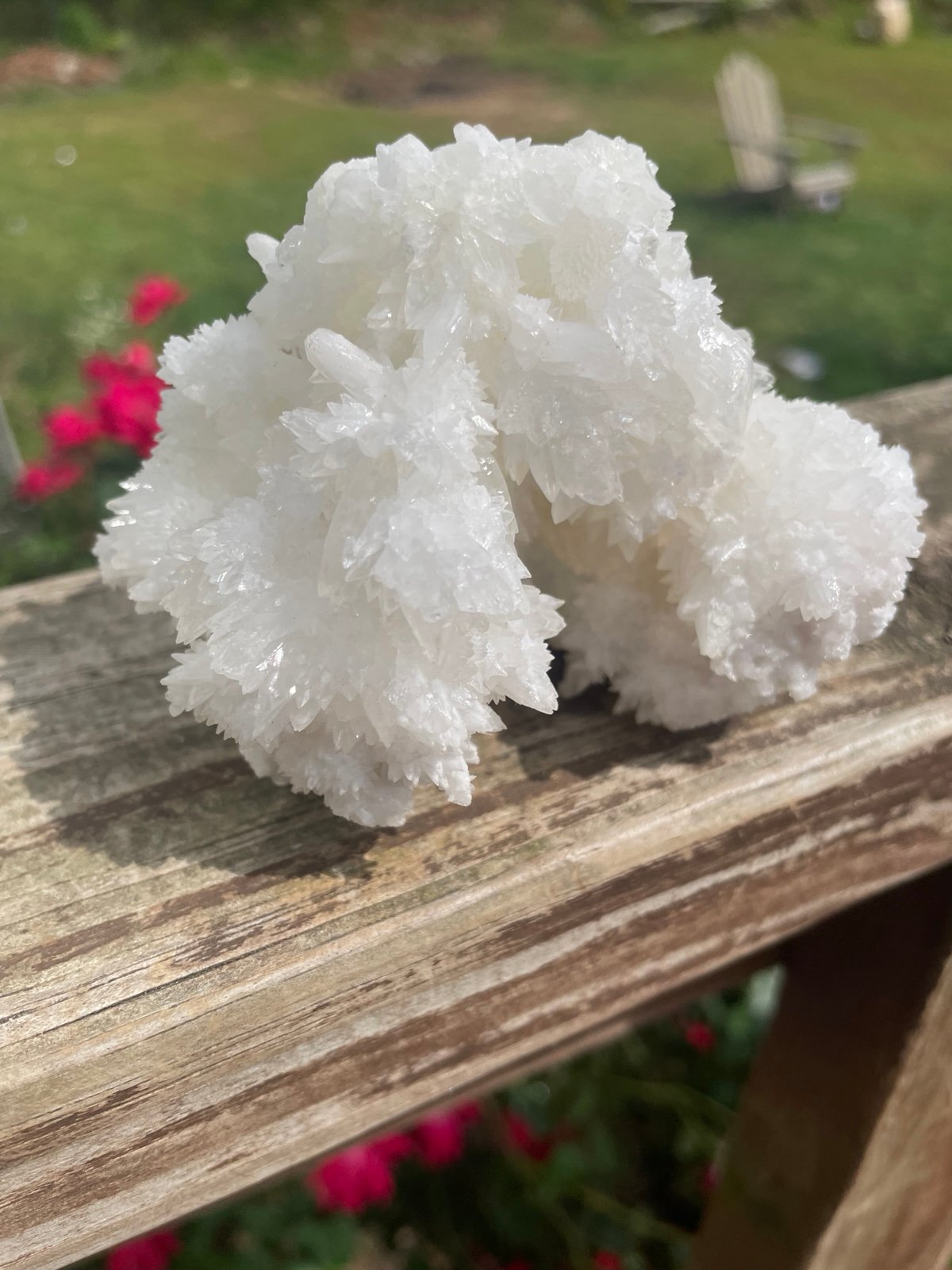 Stunning Dog Tooth Aragonite Crystal 296g