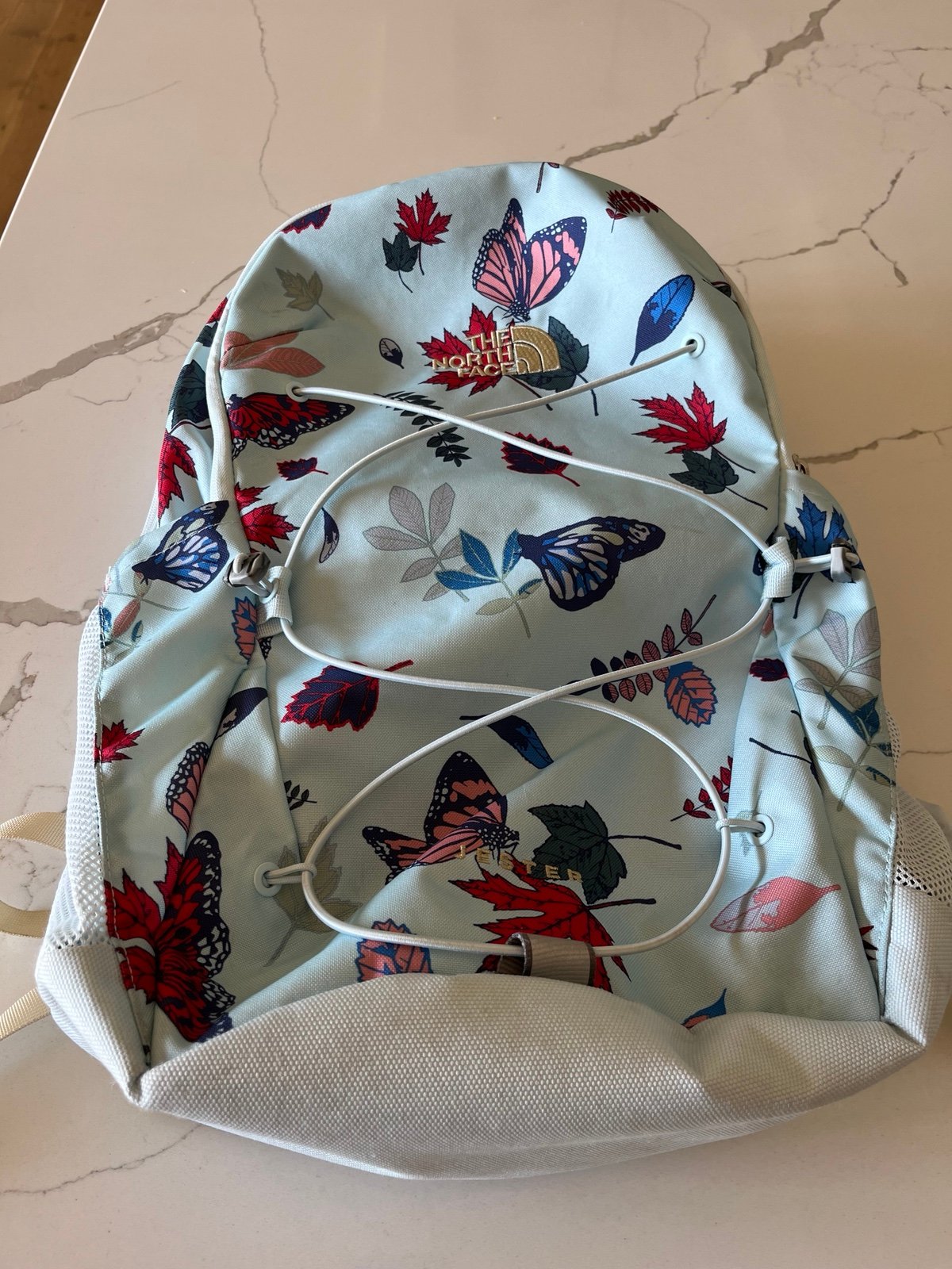 Northface backpack