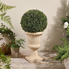 Garden Reflections 24 H Boxwood Sphere in Planter - Classic M93500
