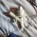 RV Toilet Water Valve
