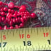 Vintage Natural Coral Chunky Beaded 5 Strand Necklace with Sterling Silver Clasp