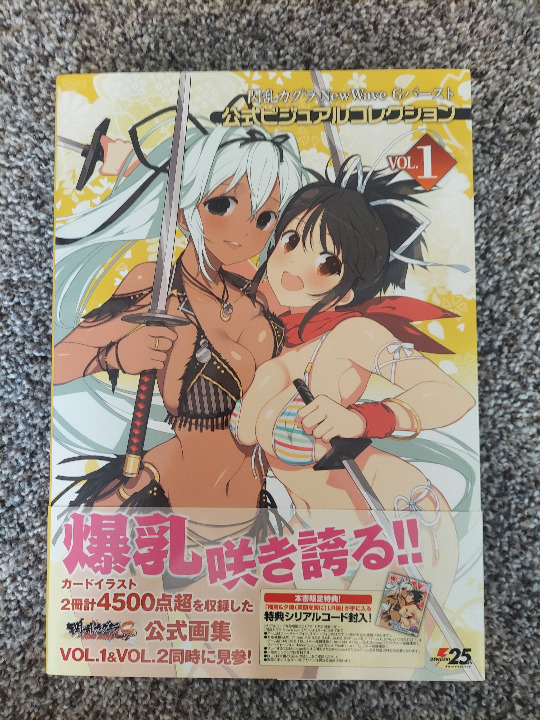 Senran Kagura New Wave G Burst Official Visual Collection Vol.1 Art Book Japan