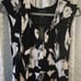 NWT White House Black Market Dress Gorgeous
