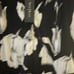 NWT White House Black Market Dress Gorgeous