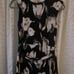 NWT White House Black Market Dress Gorgeous