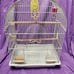Bird cage with feeders, waterer, and toys. 16 W, 10 D, 24 H