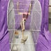 Bird cage with feeders, waterer, and toys. 16 W, 10 D, 24 H