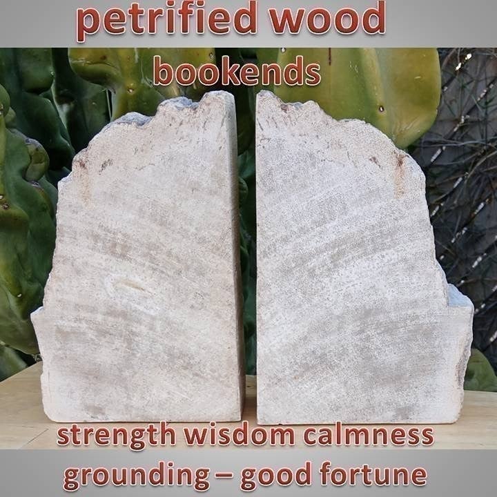 HEAVY PETRIFIED WOOD stone rock fossil BOOK ENDS 02 FORTUNE STRENGTH CALMNESS