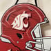 WASHINGTON STATE UNIVERSITY COUGARS MAN CAVE SIGN NCAA