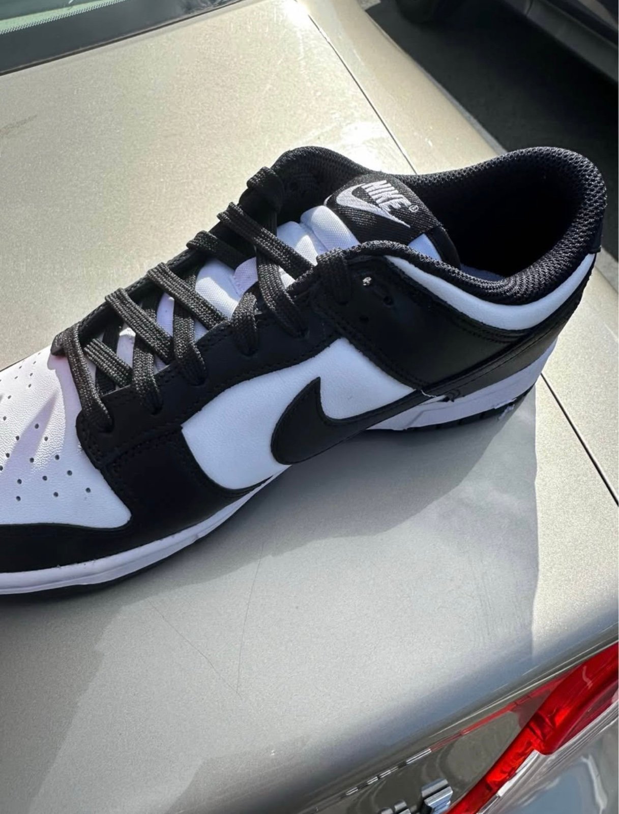 dunk low
